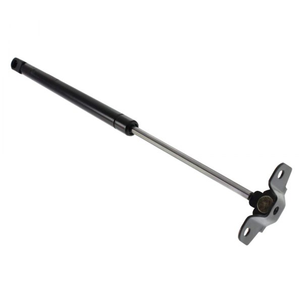 Hood Lift Assembly for 2003-2007 Honda Accord