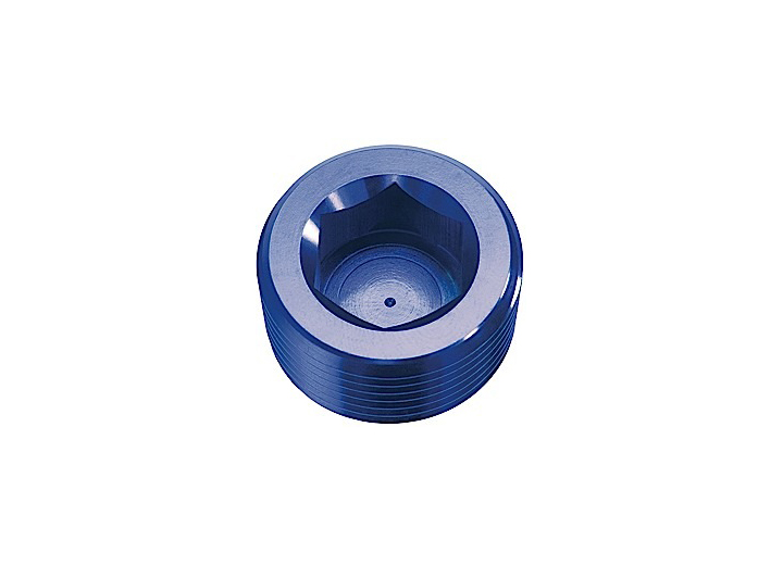 0.06 in. NPT Hex Head Pipe Plug, Blue - Size -01 - Pack of 2