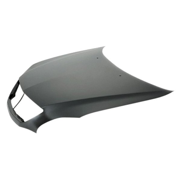 Hood Panel for 2004-2006 & 2007-2009 Lexus Rx330 & 350