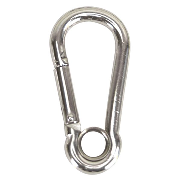 4 in. Stainless Steel Security Snap Hook
