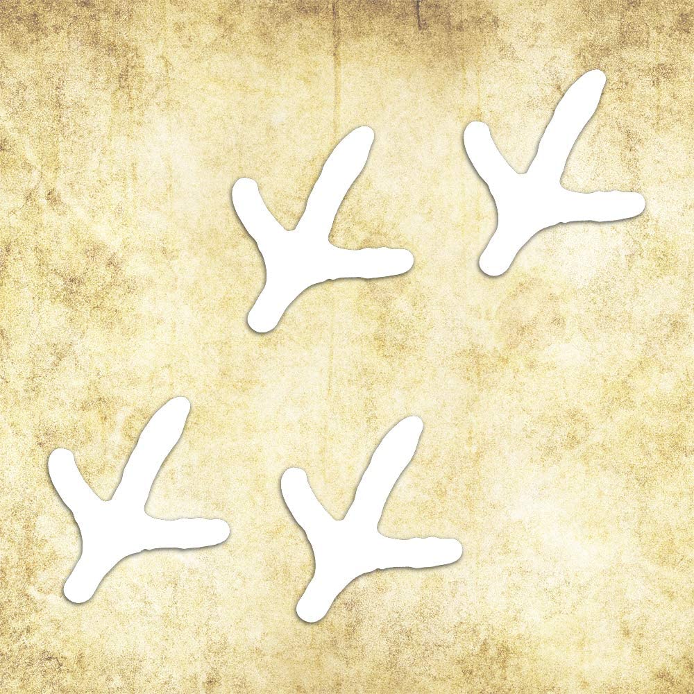6 x 8 in. Turkey Tracks Vinly Die Cut Decal, White