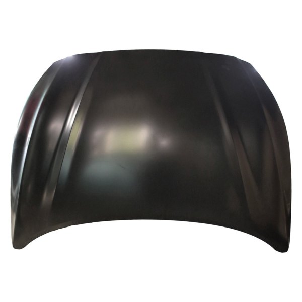 SHEHYSONA18-28-0 Hood Panel Assembly for 2018-2019 Hyundai Sonata