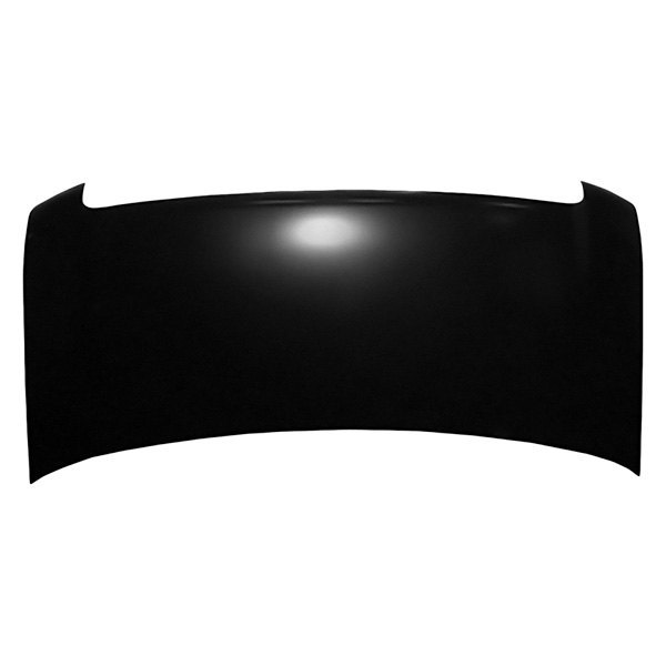 Hood Panel Assembly for 2008-19 Ford E150 E250 E350 Super Duty E450 Super Duty