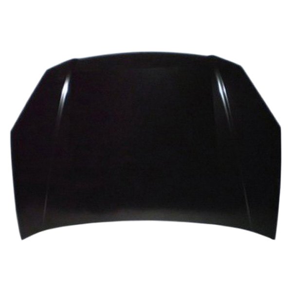SHE3236-28-0 Hood Panel Assembly for 2006-2011 Kia Rio