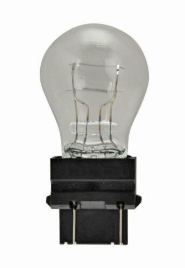 8W 12V Bulb