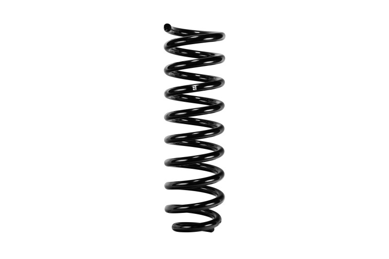 EIBR40002 Single Front Spring for 2005-2015 Tacoma - Black
