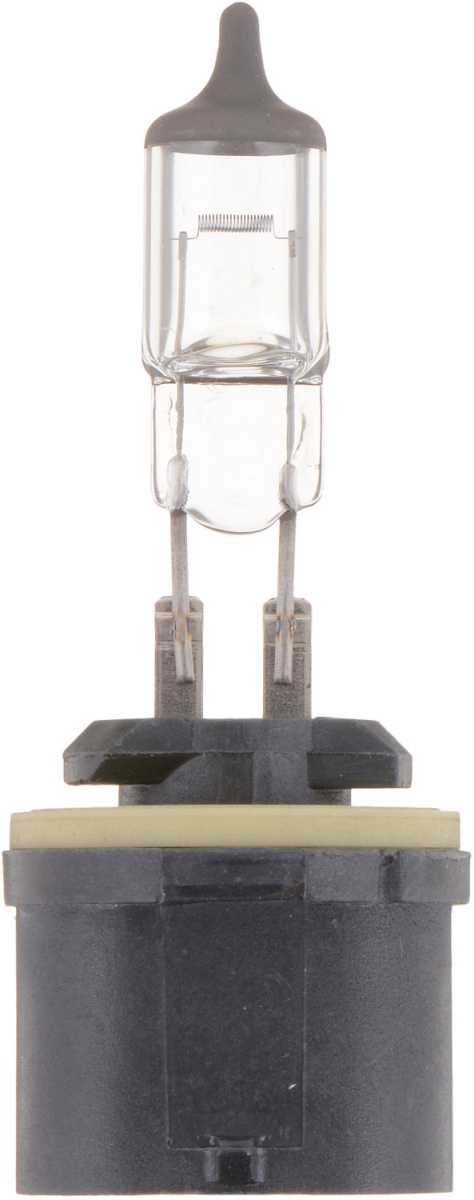 PHI880B1 Standard Halogen Bulb with 880