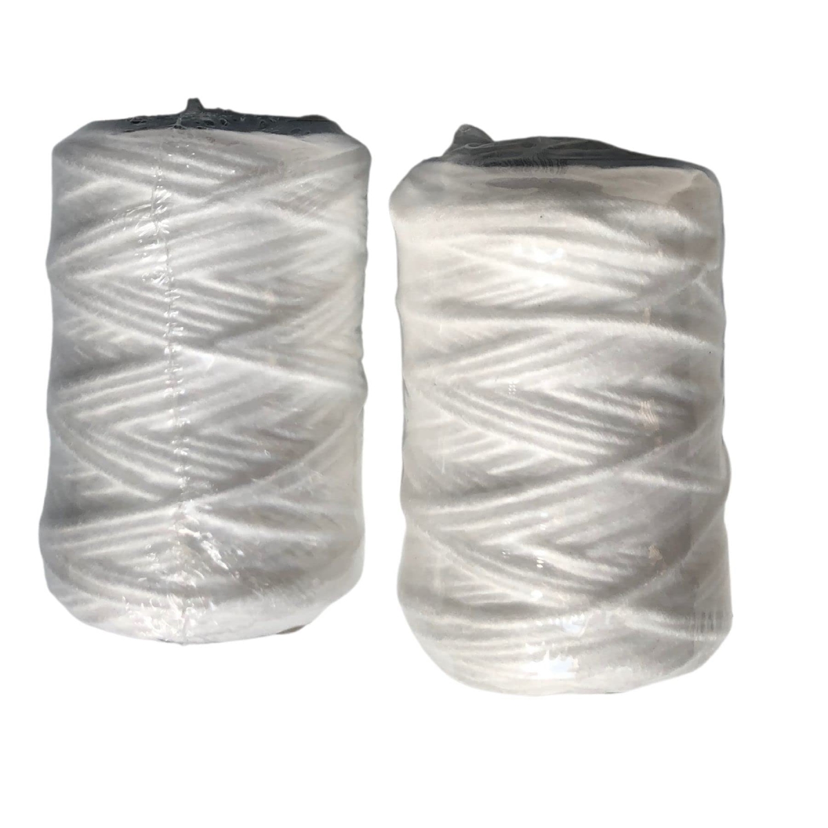 CAPRV4C4-12 Water Filter Cartridge with CFR Water Filter - 2 Per Pack