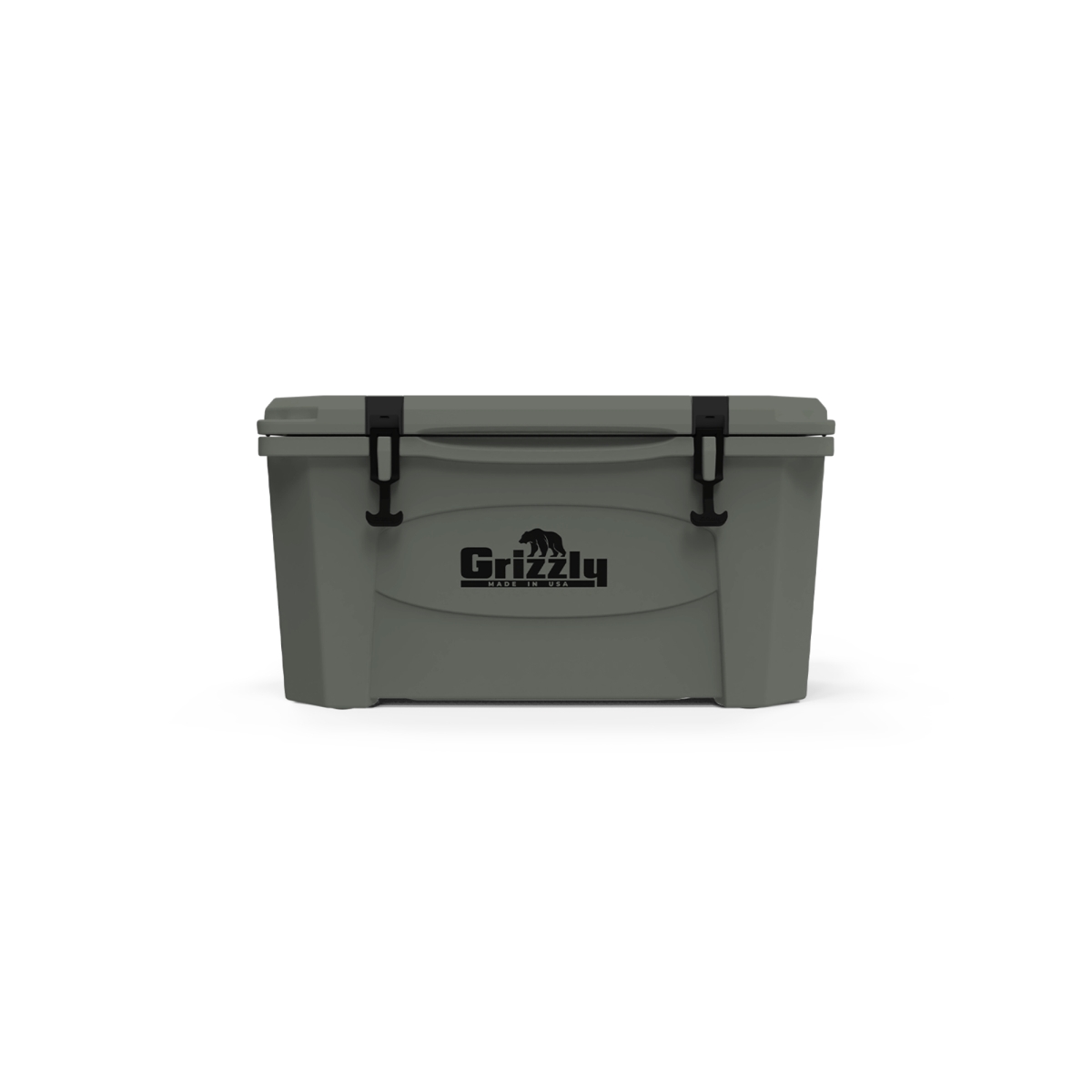 GZC4400757 45 qt. Camping Cooler, Lunar Green