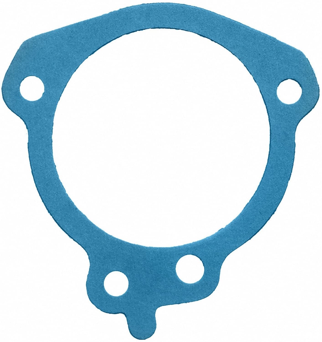 FEP35381 0.42 oz Water Pump Gasket