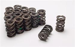 Nextek Valve Springs Drag