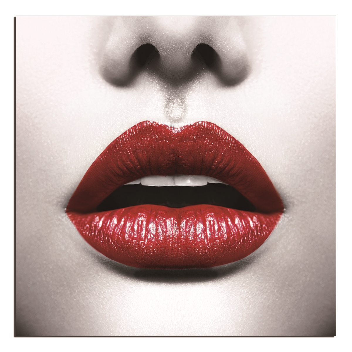Picture of Amazing Rugs MO8104 40 x 40 in. Oppidan Home Red Lips Acrylic Wall Art