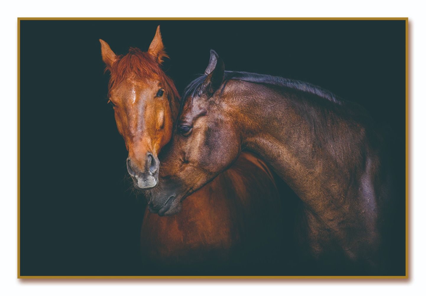 Picture of Amazing Rugs TH6141 32 x 48 in. Oppidan Home Horses Caressing Acrylic Wall Art