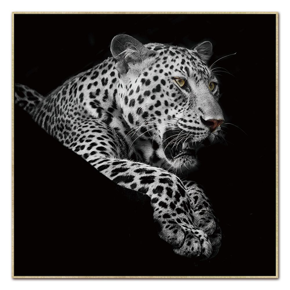 Picture of Amazing Rugs LEP6134 48 x 48 in. Oppidan Home Leopard in Black & White Acrylic Wall Art