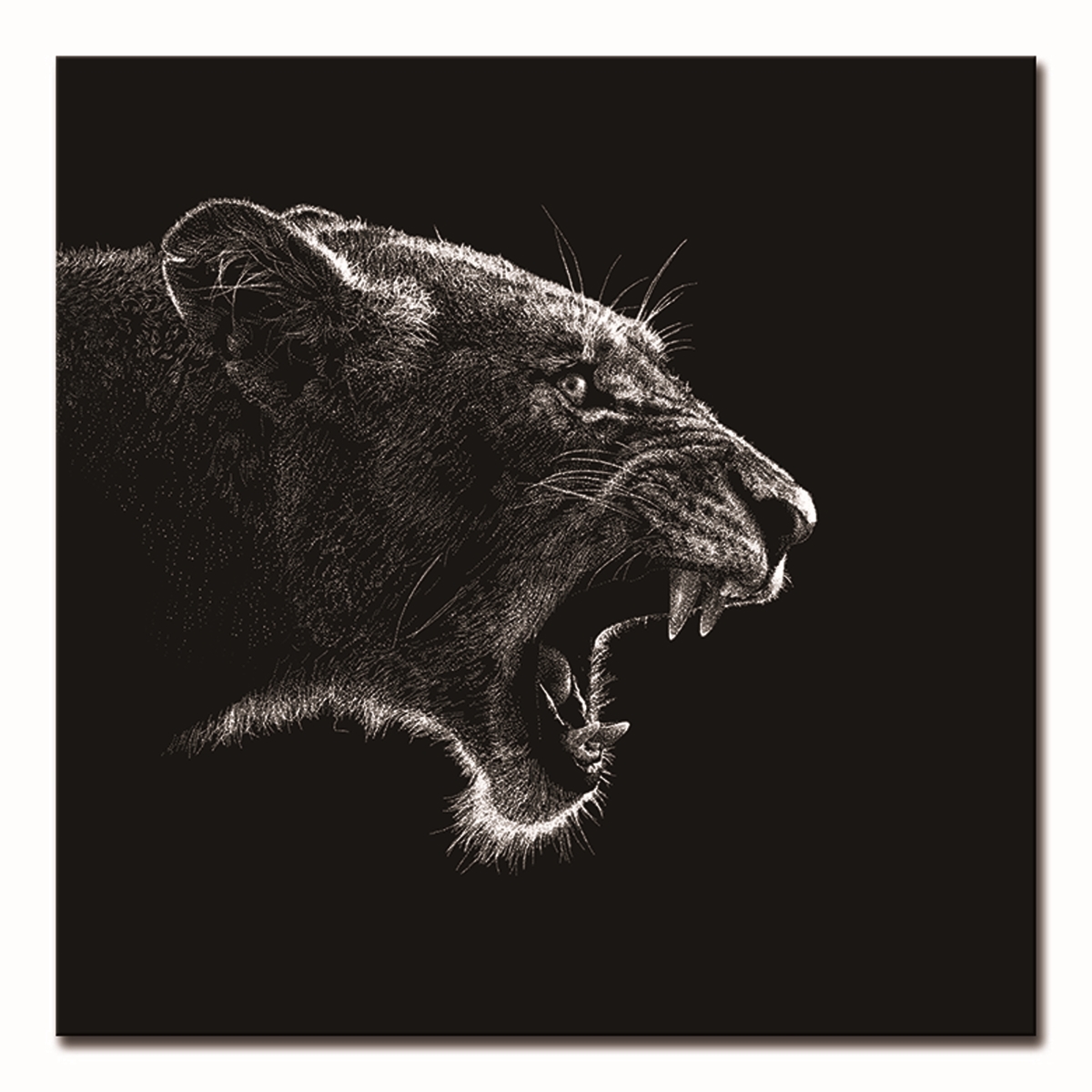 Picture of Amazing Rugs AR-61079 40 x 40 in. Oppidan Home Roaring Lioness Acrylic Wall Art