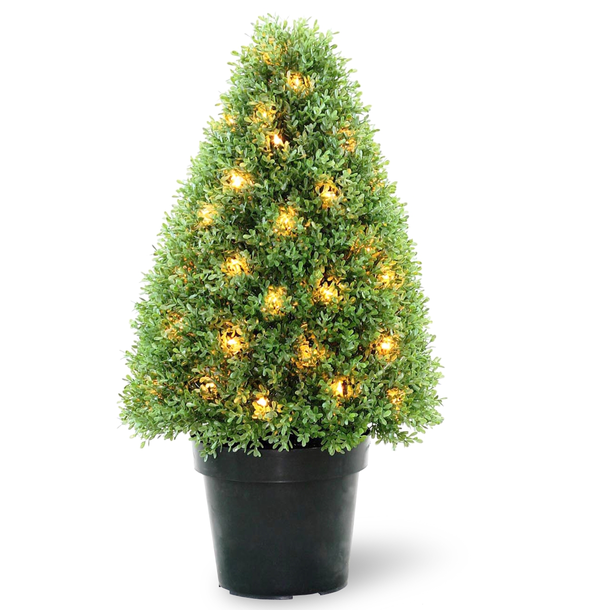 NATIONAL TREE