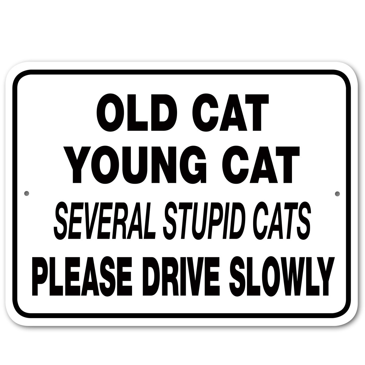 3245437 Old Cat Young Cat Several Stupid Cats Please Drive Slowly Sign Aluminum 12 in X 9 in 437