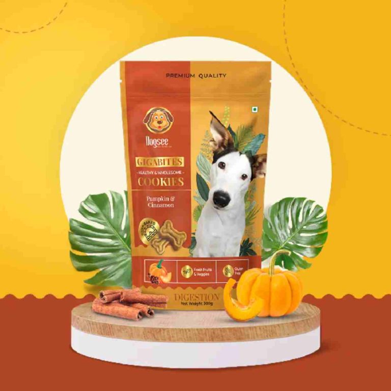 Picture of Dogsee DG-PCC-300-FBA 10.6 oz Gigabites Pumpkin & Cinnamon Cookies for Dogs