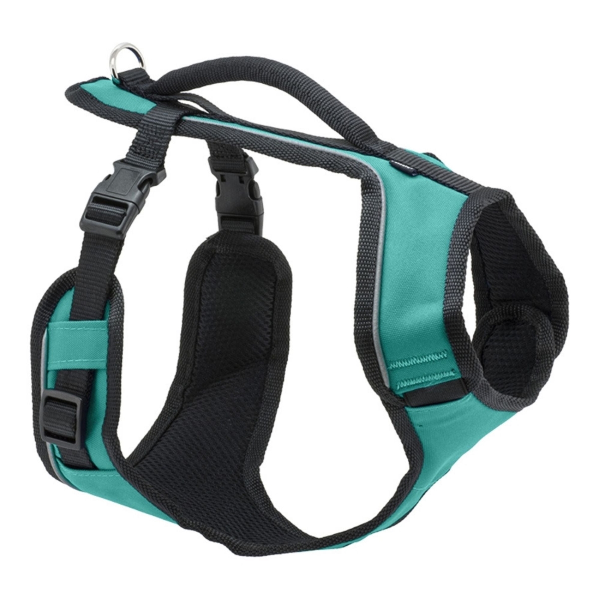 PetSafe 729849178014 Easy Sport Dog Harness, Teal - Large