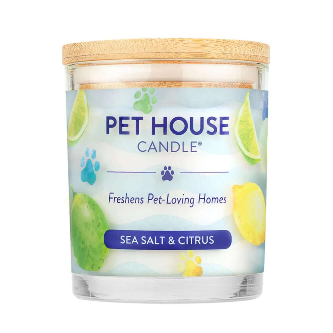 794969447463 9 oz Sea Salt & Citrus Large Candle - 3 Count