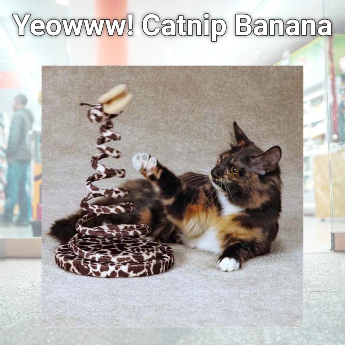 Picture of Ducky World 812402000041 Yeowww! Catnip Banana