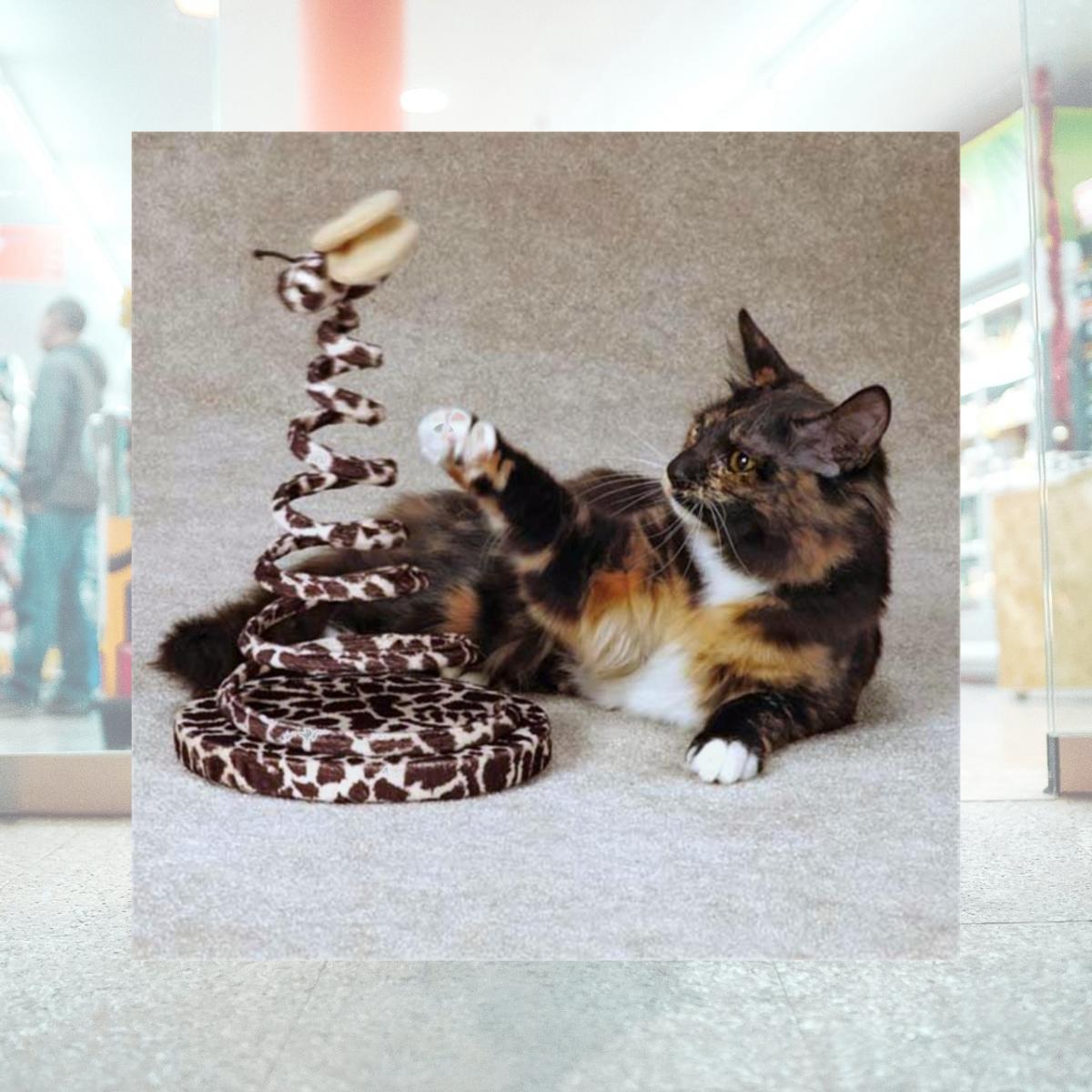 Picture of Ducky World 812402000041 Yeowww! Catnip Banana