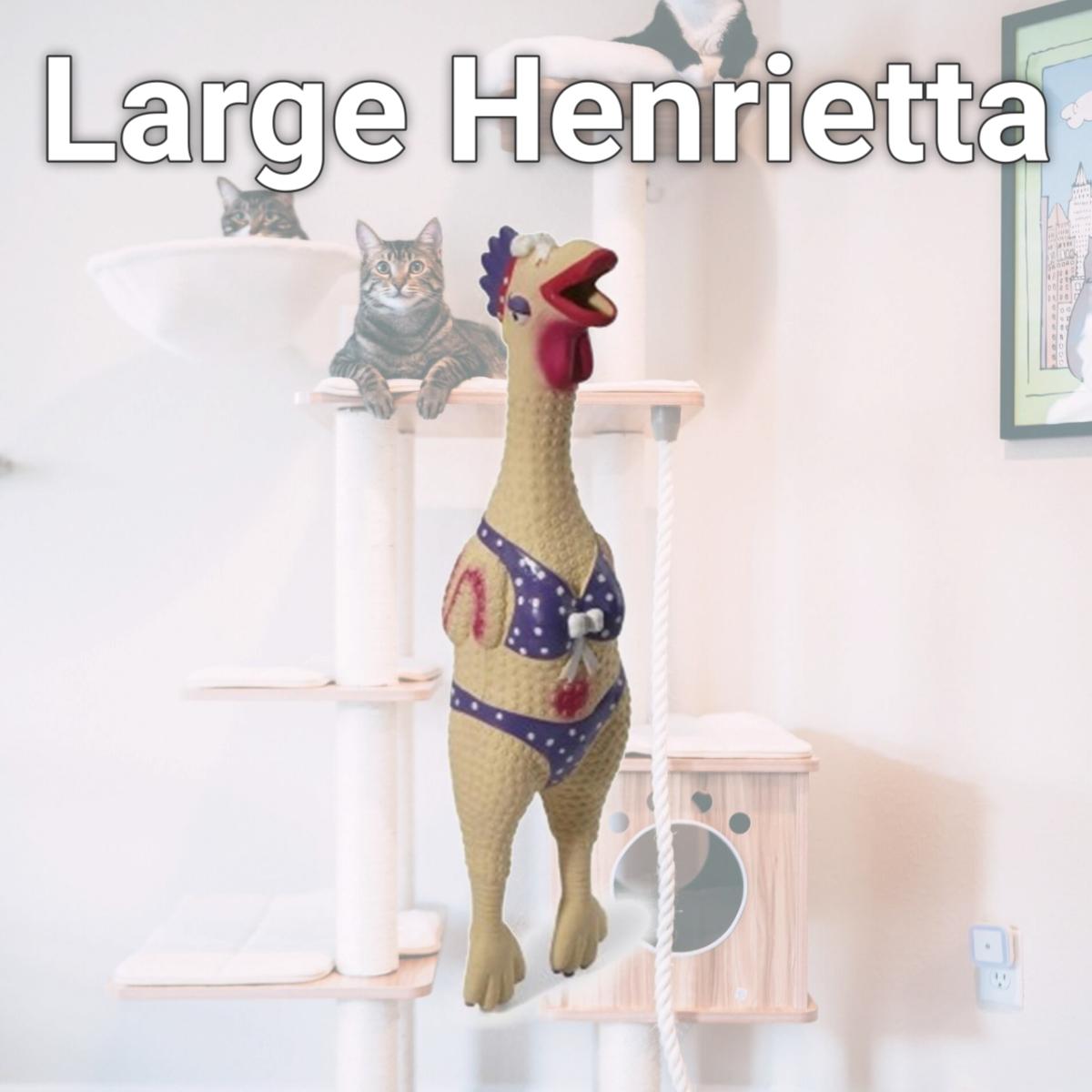 Picture of Charming Pet Products 875854005613 Large Henrietta