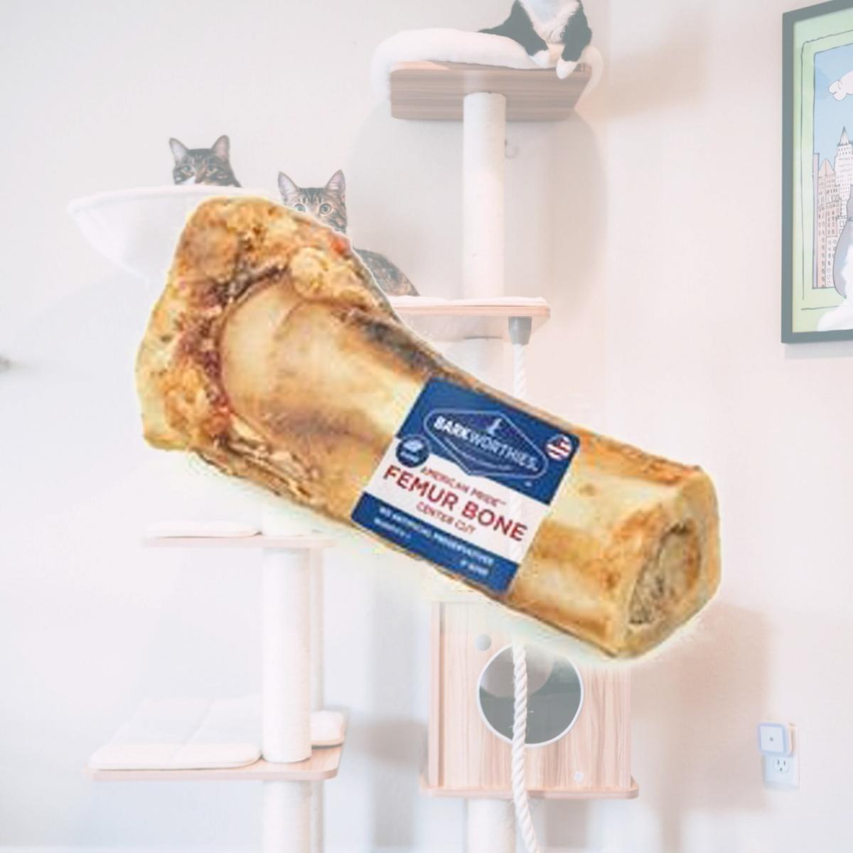 Picture of Barkworthies 840139115011 6 in. USA Pride Femur Bone, Case of 8