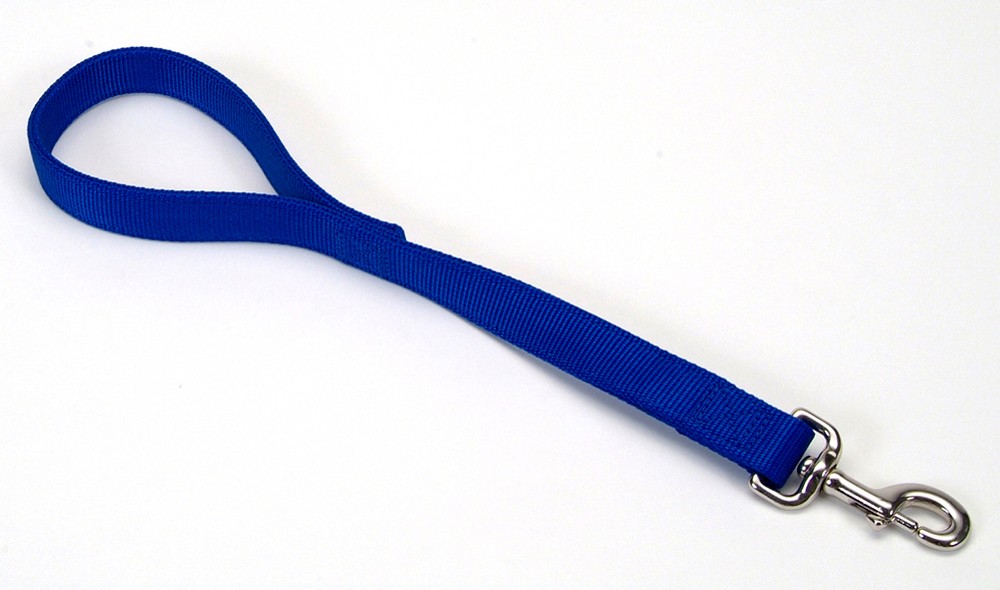 Picture of Coastal 076484070921 1 x 24 in. Double Polyester Traffic Leash&#44; Blue