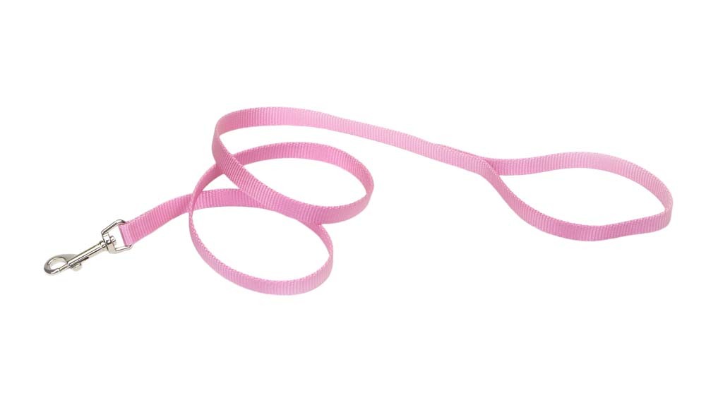 Picture of Coastal Pet Products 076484406034 0.62 in. x 6 ft. Pet-Nylon Leash&#44; Pink