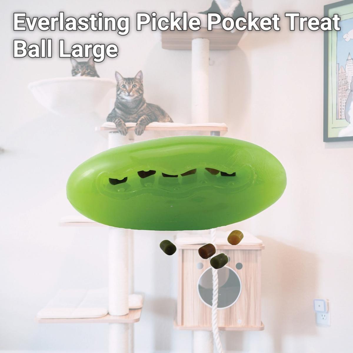 Picture of Starmark Pet Products 873199001208 Everlasting Pickle Pocket Treat Ball, Large