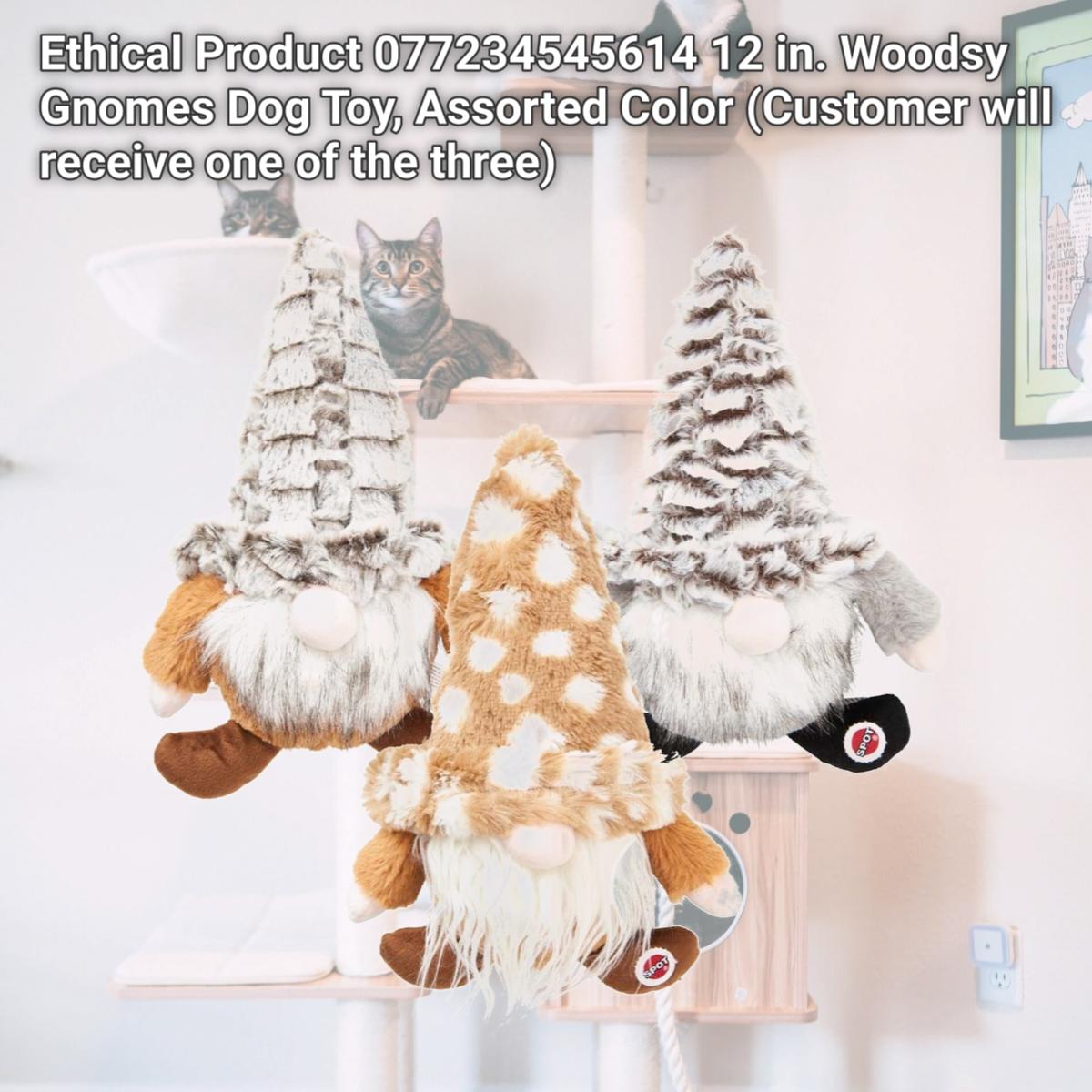 Picture of Ethical Product 077234545614 12 in. Woodsy Gnomes Dog Toy, Assorted Color (Customer will receive one of the three)