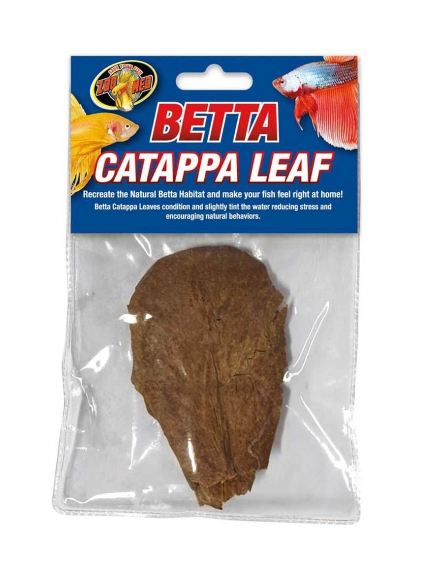Picture of Zoo Med Labs 097612242119 Betta Catappa Leaf, Pack of 3