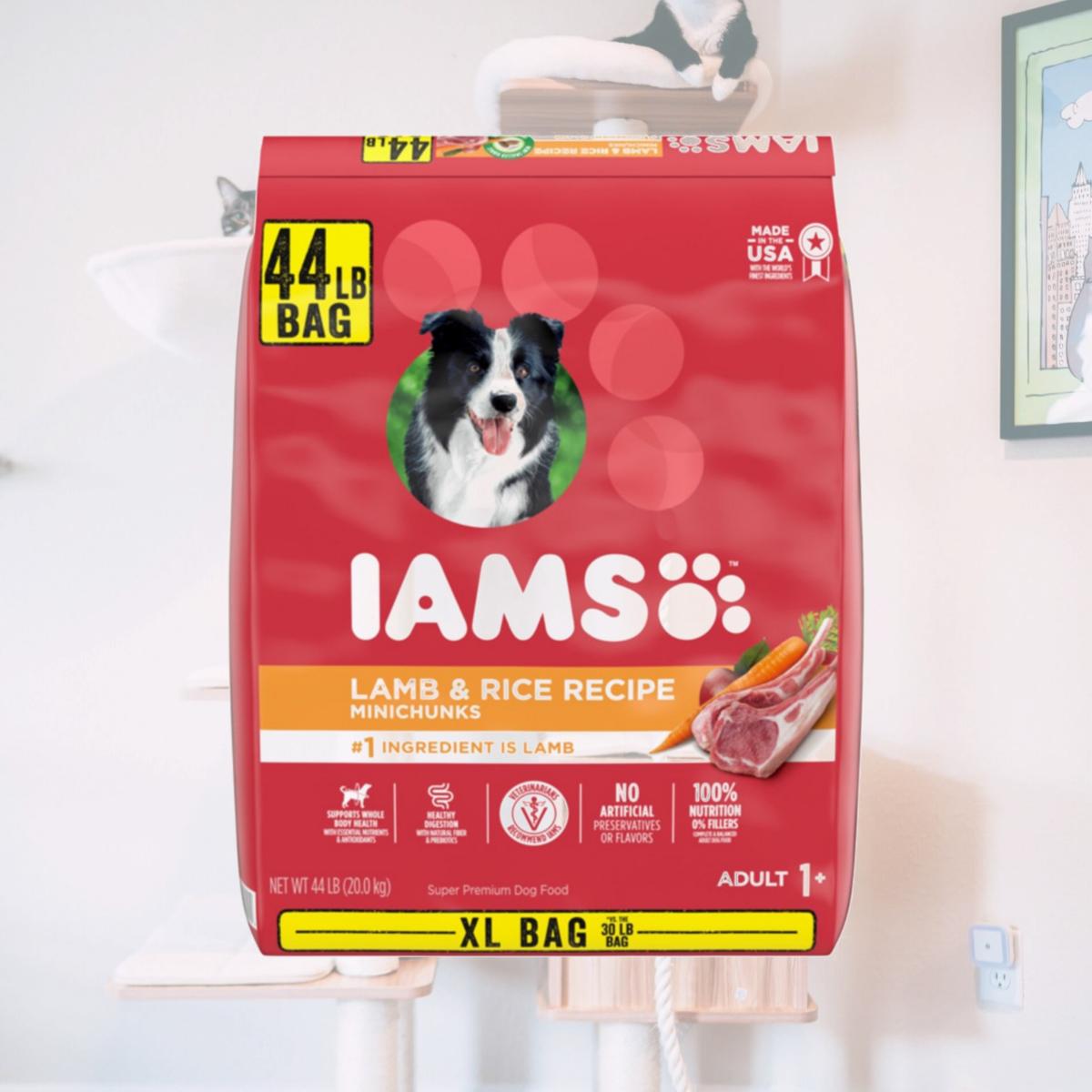 Picture of IAMS 019014805358 44 lbs Proactive Health Adult Lamb Rice Dry Minichunk Dog Food