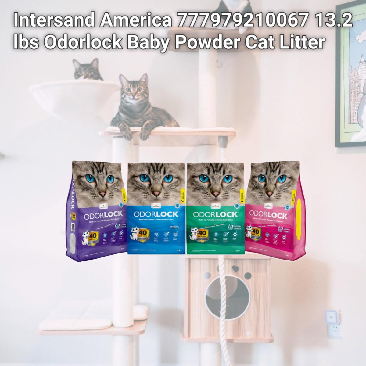Picture of Intersand America 777979210067 13.2 lbs Odorlock Baby Powder Cat Litter