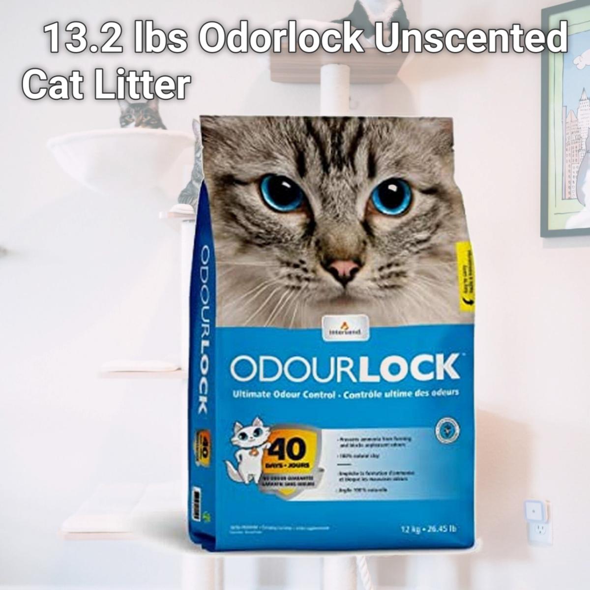 Picture of Intersand America 777979211064 13.2 lbs Odorlock Unscented Cat Litter