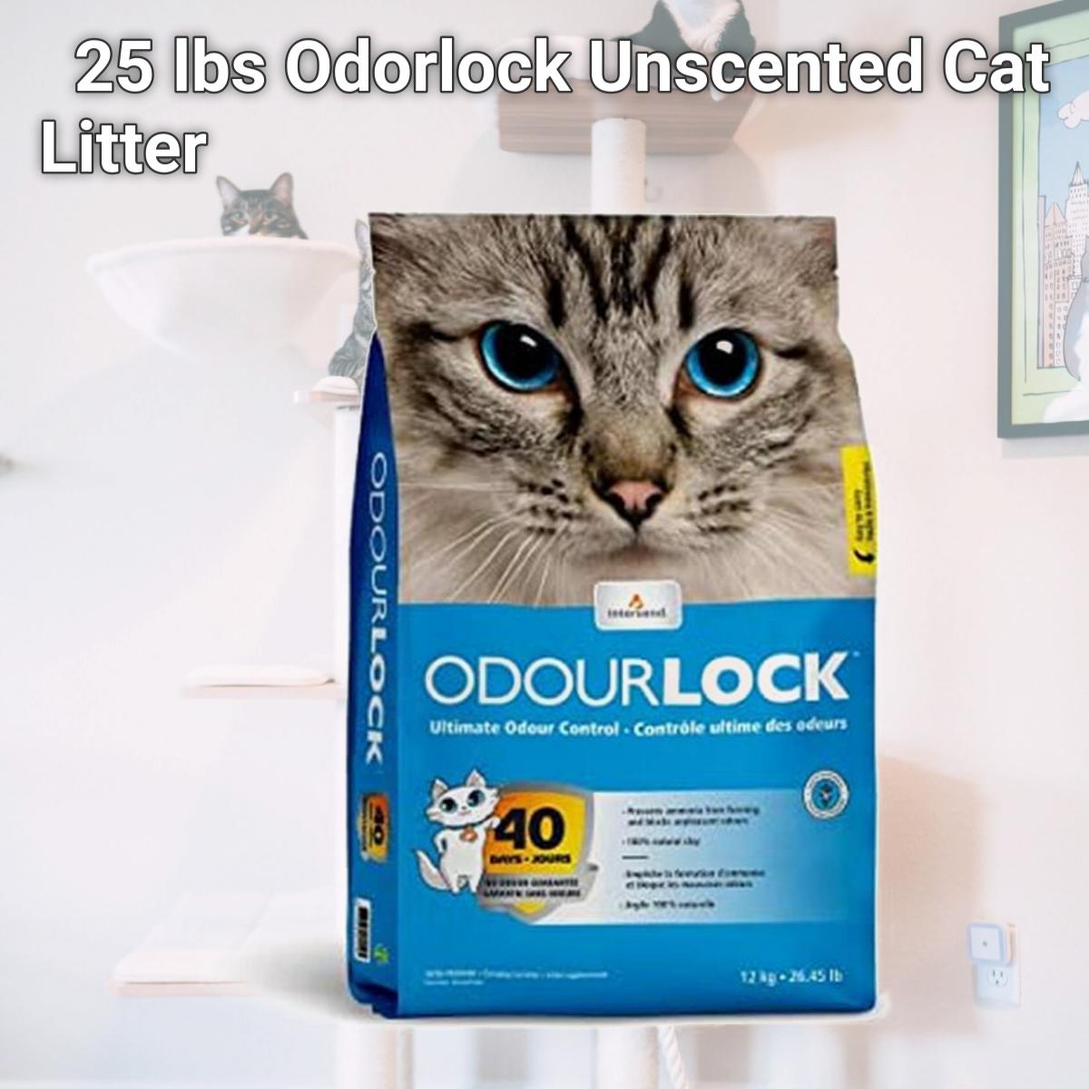 Picture of Intersand America 777979211255 25 lbs Odorlock Unscented Cat Litter