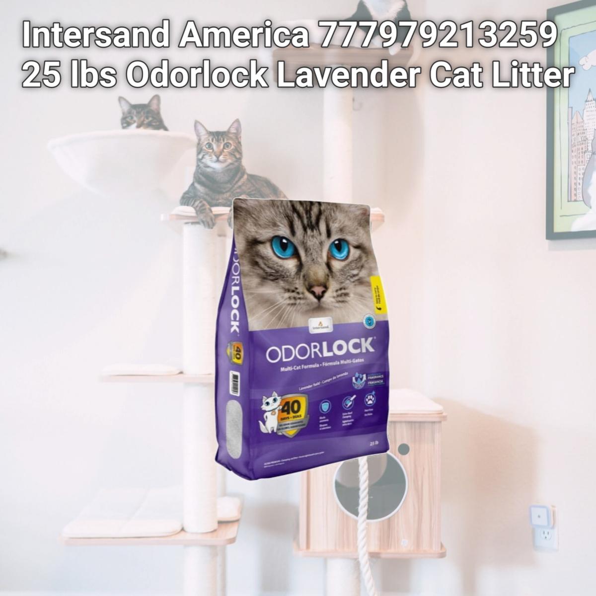 Picture of Intersand America 777979213259 25 lbs Odorlock Lavender Cat Litter