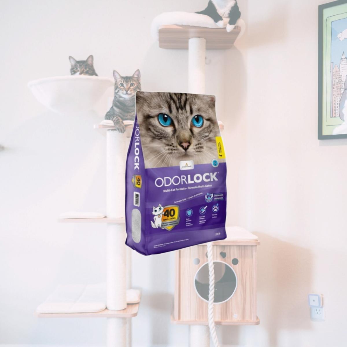 Picture of Intersand America 777979213259 25 lbs Odorlock Lavender Cat Litter