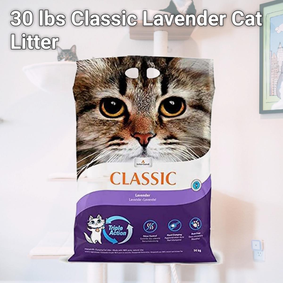 Picture of Intersand America 777979573308 30 lbs Classic Lavender Cat Litter