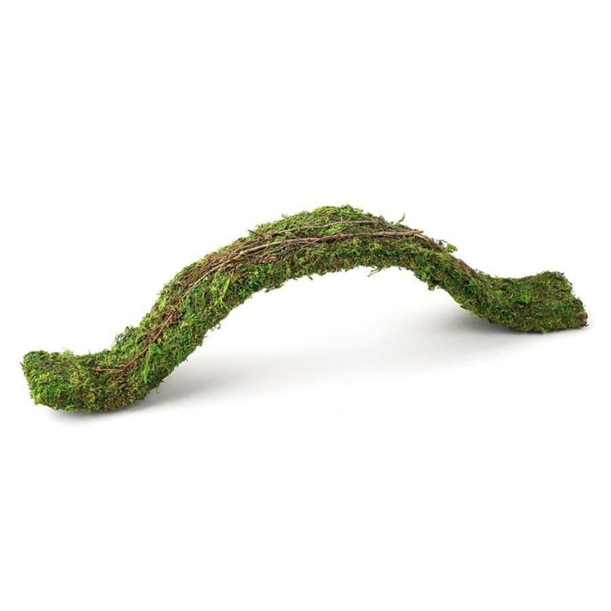 Picture of Natural Pack Galapagos 759834053088 2 ft. Flexible Bridge Terrarium Ornament, Fresh Green