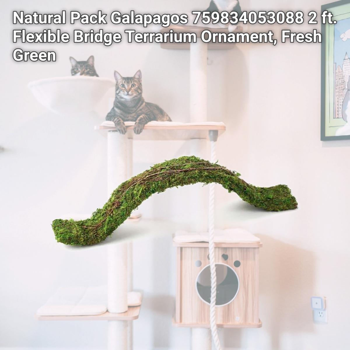 Picture of Natural Pack Galapagos 759834053088 2 ft. Flexible Bridge Terrarium Ornament, Fresh Green