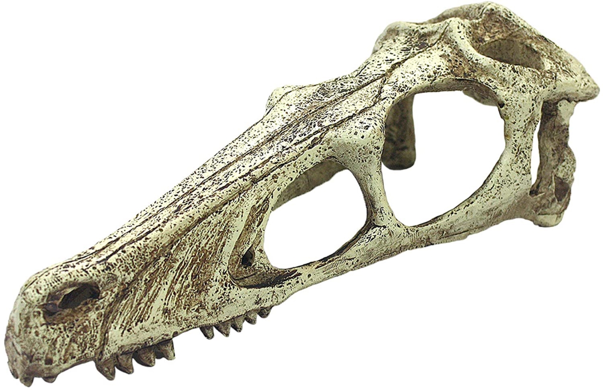 Picture of Multipet International 784369932126 Komodo Raptor Skull Reptile Hideout&#44; Tan - Large