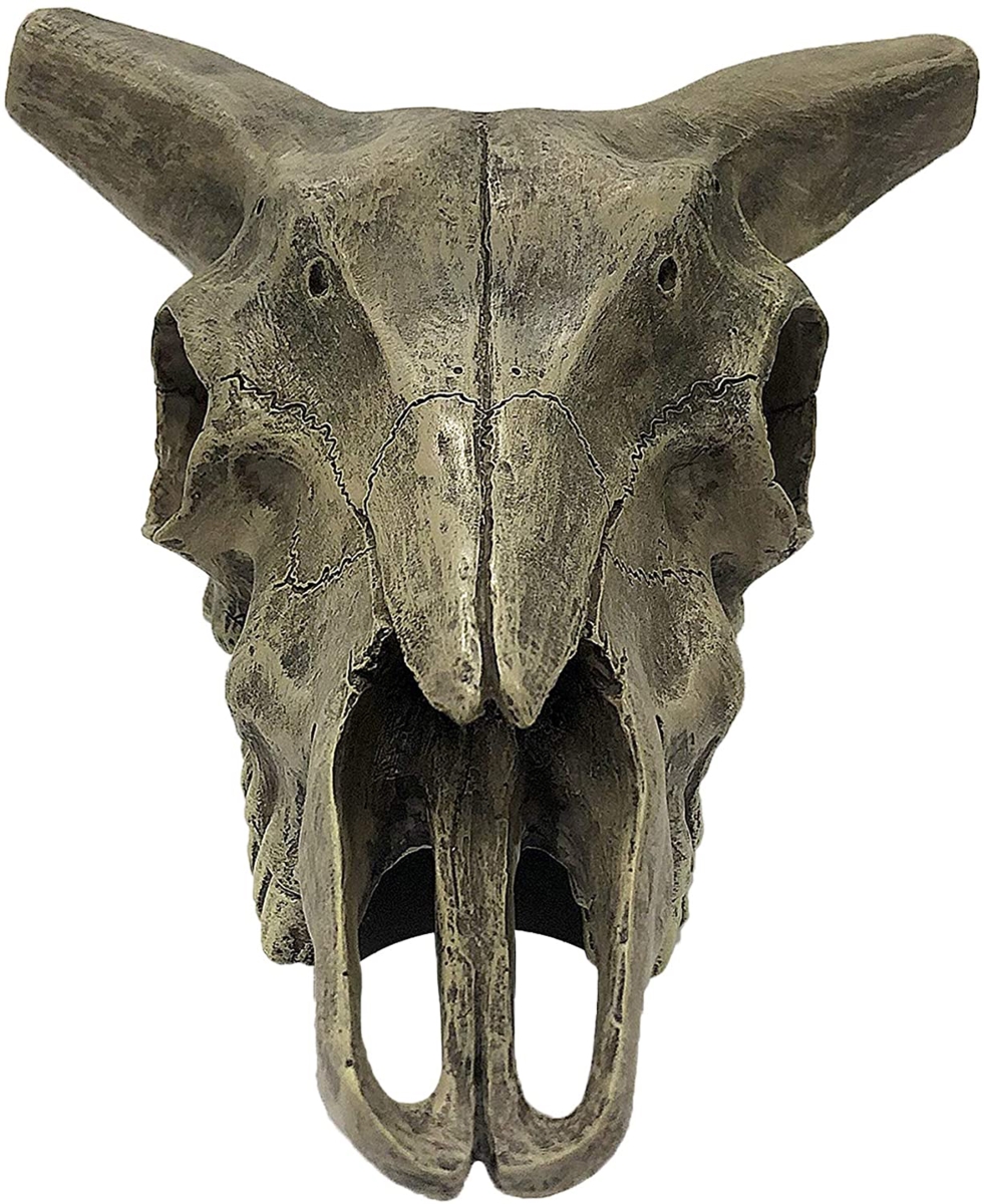 Picture of Multipet International 784369932218 Komodo Deer Skull Reptile Hideout, Gray - One Size
