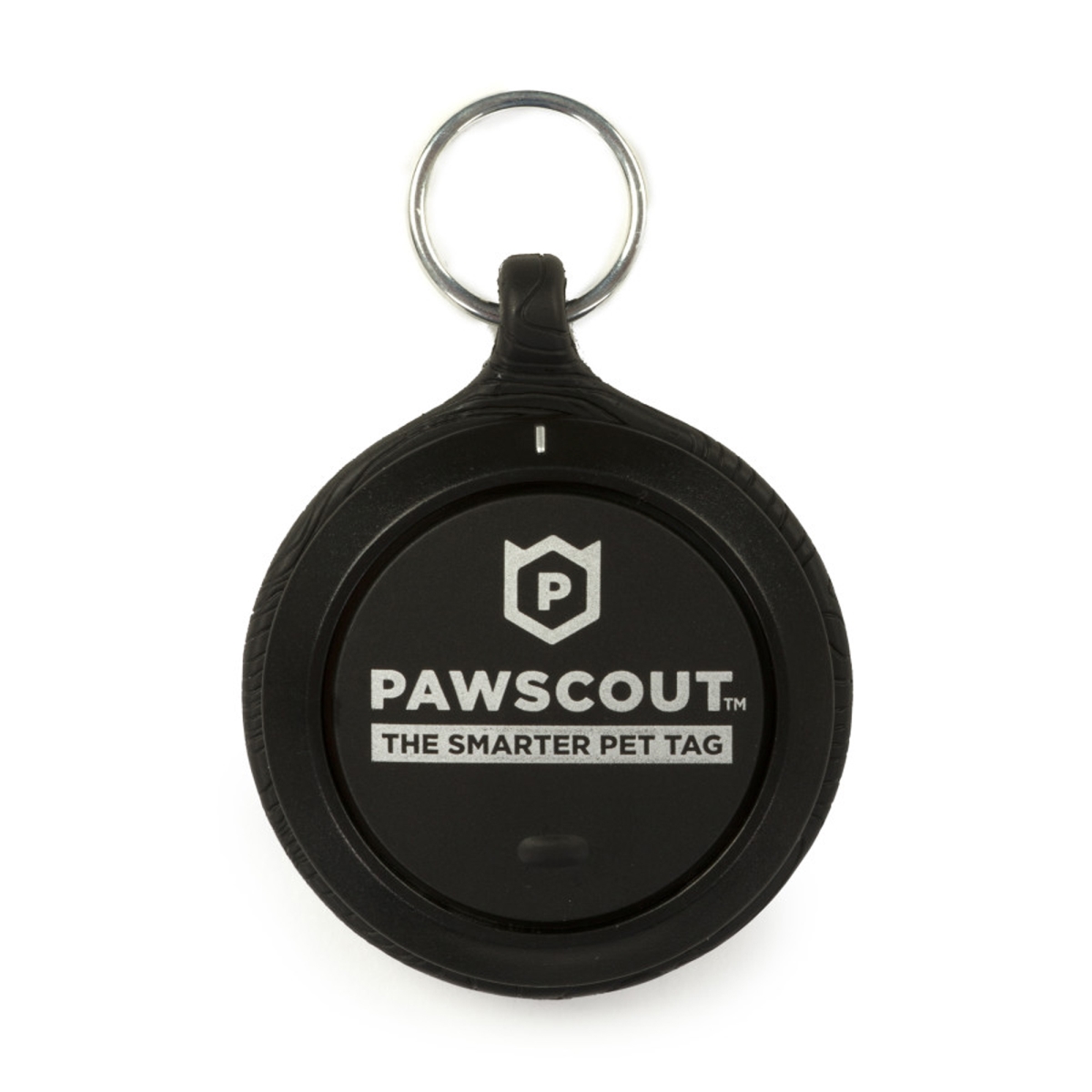 Picture of Smartykat 786306910303 Smarter Pet Dog & Cat Tag&#44; Black - 4 Count