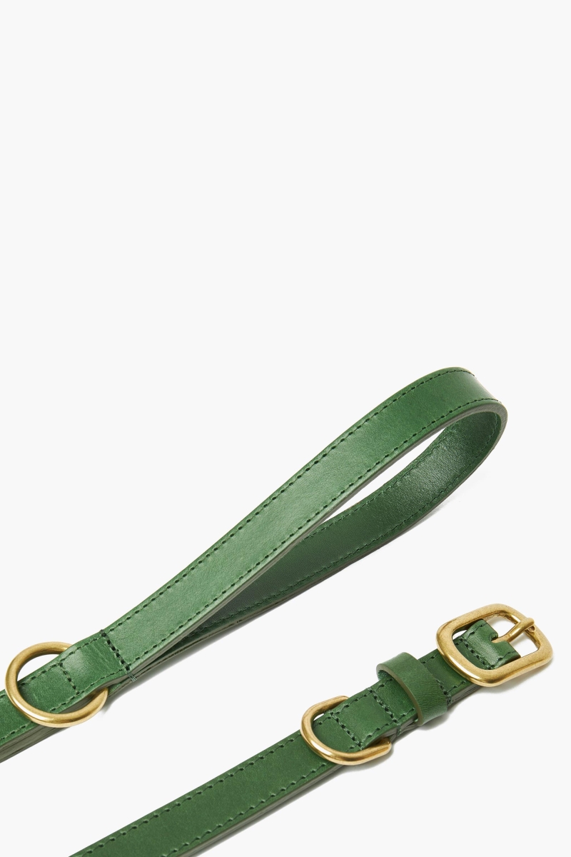 Dog Aparrel Head Collar, Avacado Green - Small -  Bugbicho, BU3084631