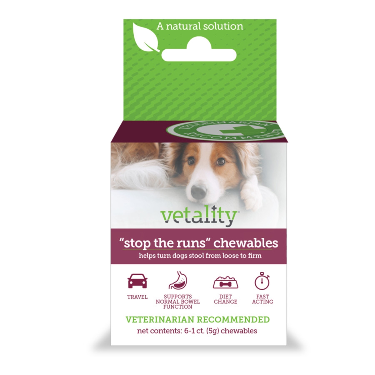 Picture of Tevra Brands 190623300035 Vetality Stop the Runs Chewables for Dogs - 6 Count