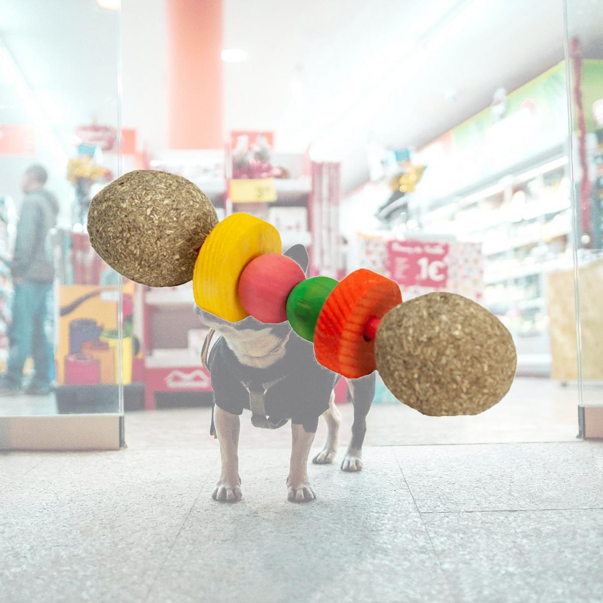 Picture of A&E Cages 644472014372 6 in. Nibbles Hay Dumbbell Small Animal Chew Toy