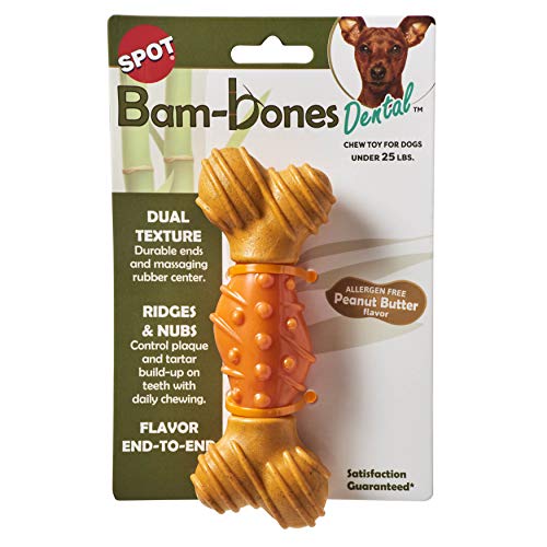 Picture of Ethical Pet 077234546260 6 in. Bambone Dental Peanut Butter Bone Dog Toy - Brown & Orange