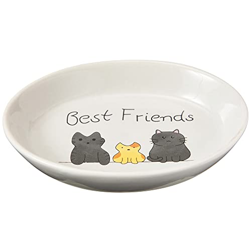 Picture of Ethical Pet 077234546932 6 in. Spot Best Friends Oval Cat Dish
